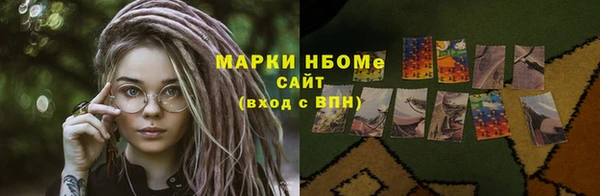 индика Новодвинск