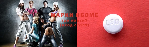 индика Новодвинск