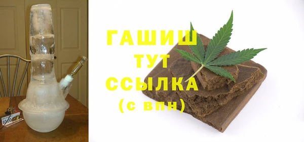 индика Новозыбков