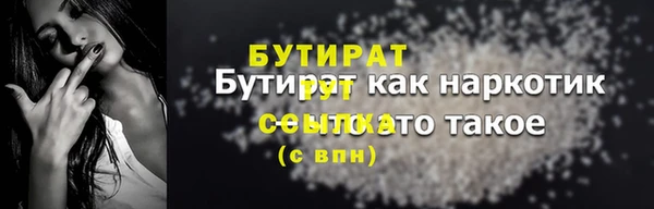 индика Новозыбков