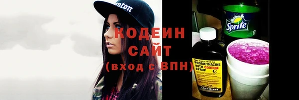 индика Новодвинск