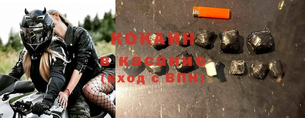 индика Новозыбков